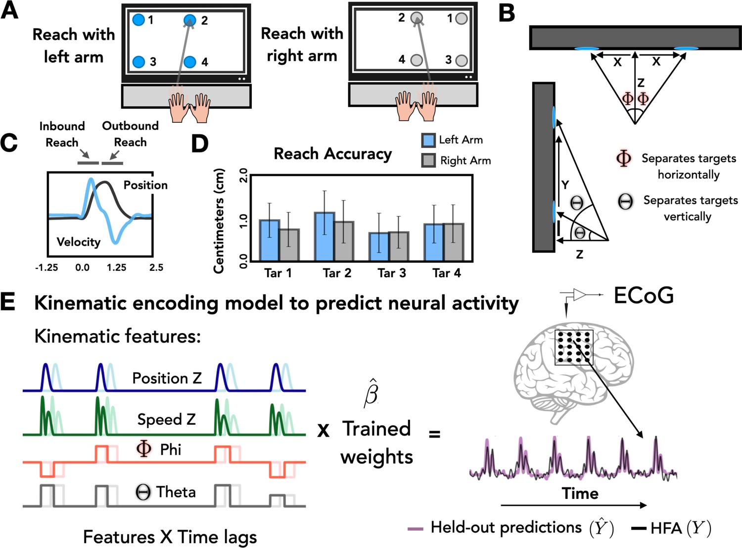 Left Hemisphere Dominance For Bilateral Kinematic Encoding In The Human ...