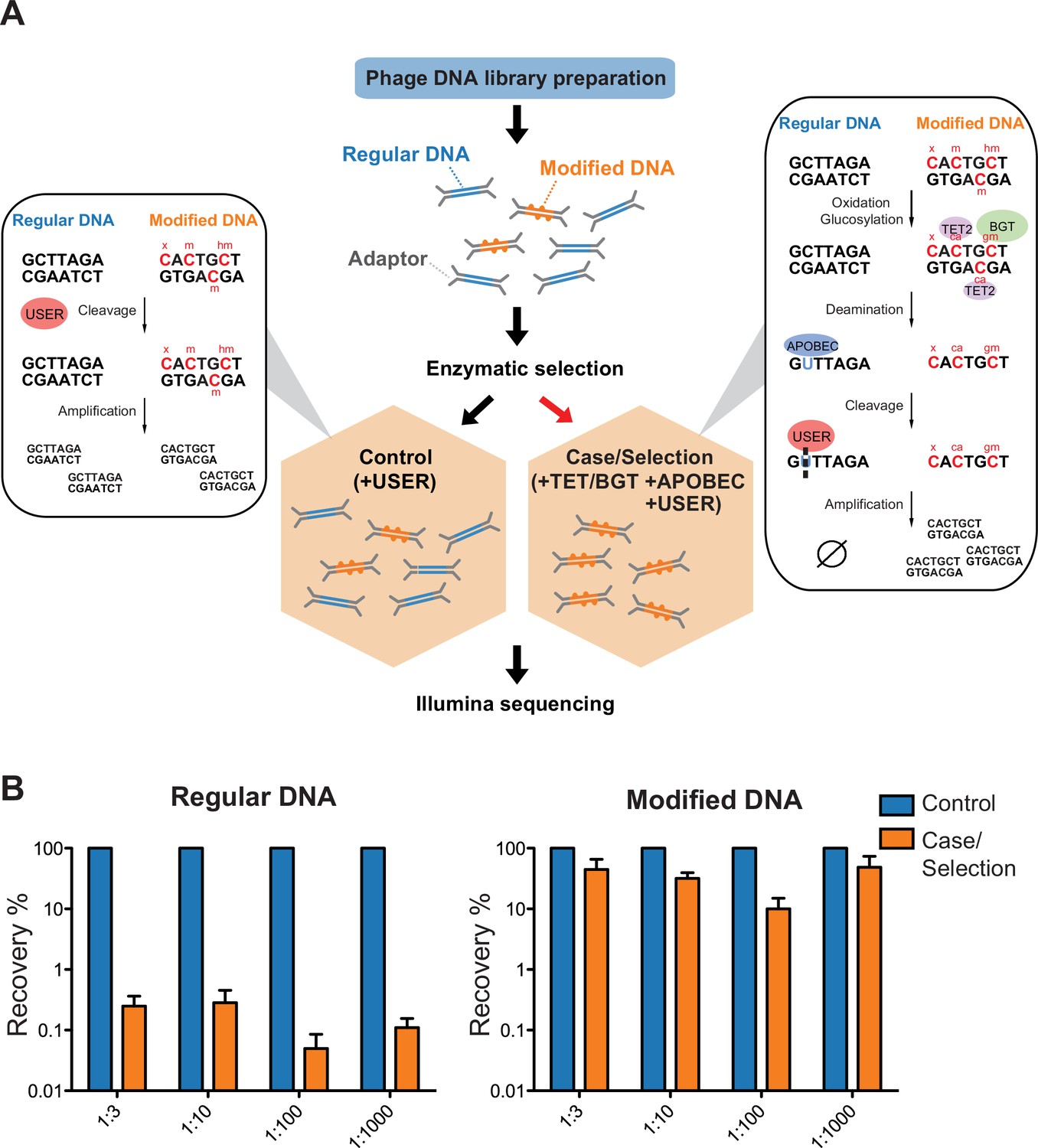 A Genome Phenome Association Study In Native Microbiomes Identifies A Mechanism For Cytosine