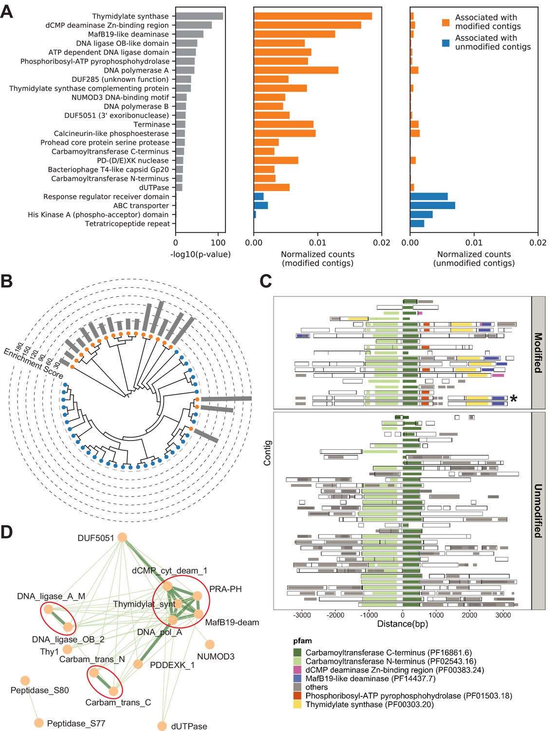 A genome-phenome association study in native microbiomes identifies a ...