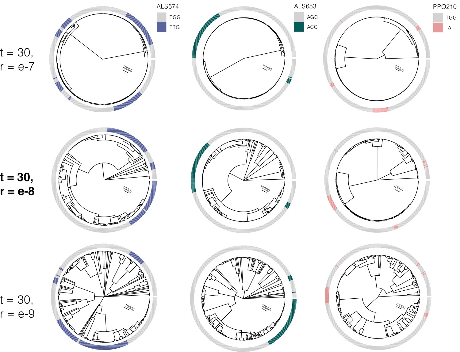 Figures and data in Repeated origins, widespread gene flow, and allelic ...