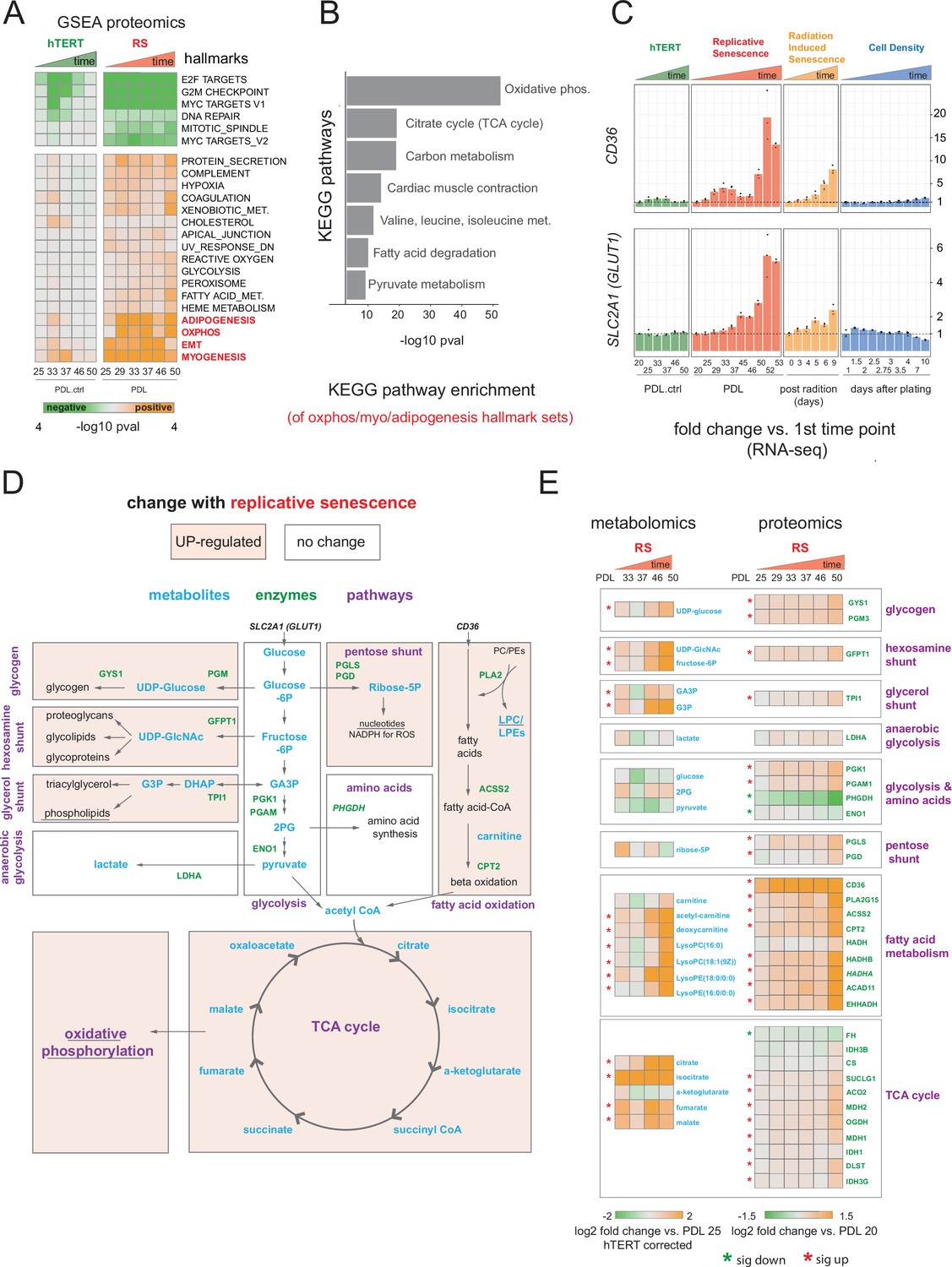 Proteome Phenotypes Discriminate the Growing Location and Malting