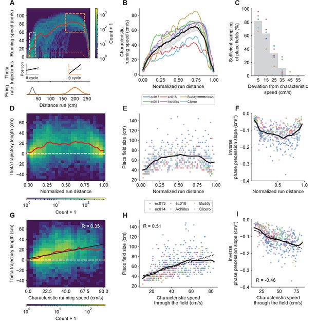 Neuronal sequences during theta rely on behavior-dependent spatial maps ...