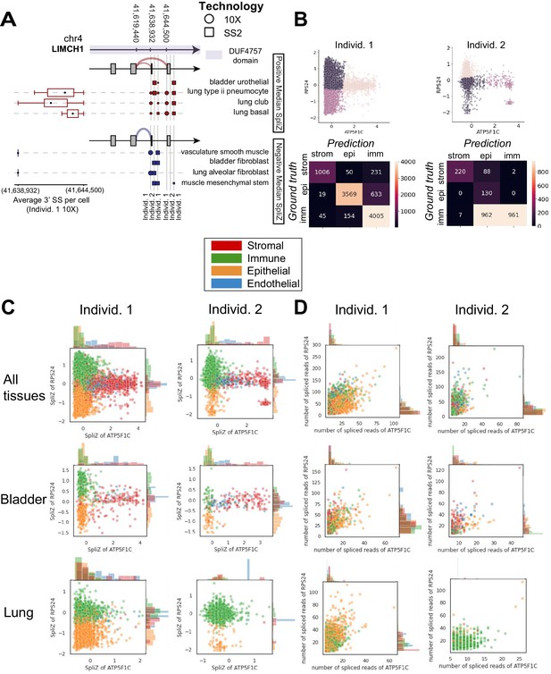 RNA splicing programs define tissue compartments and cell types at ...