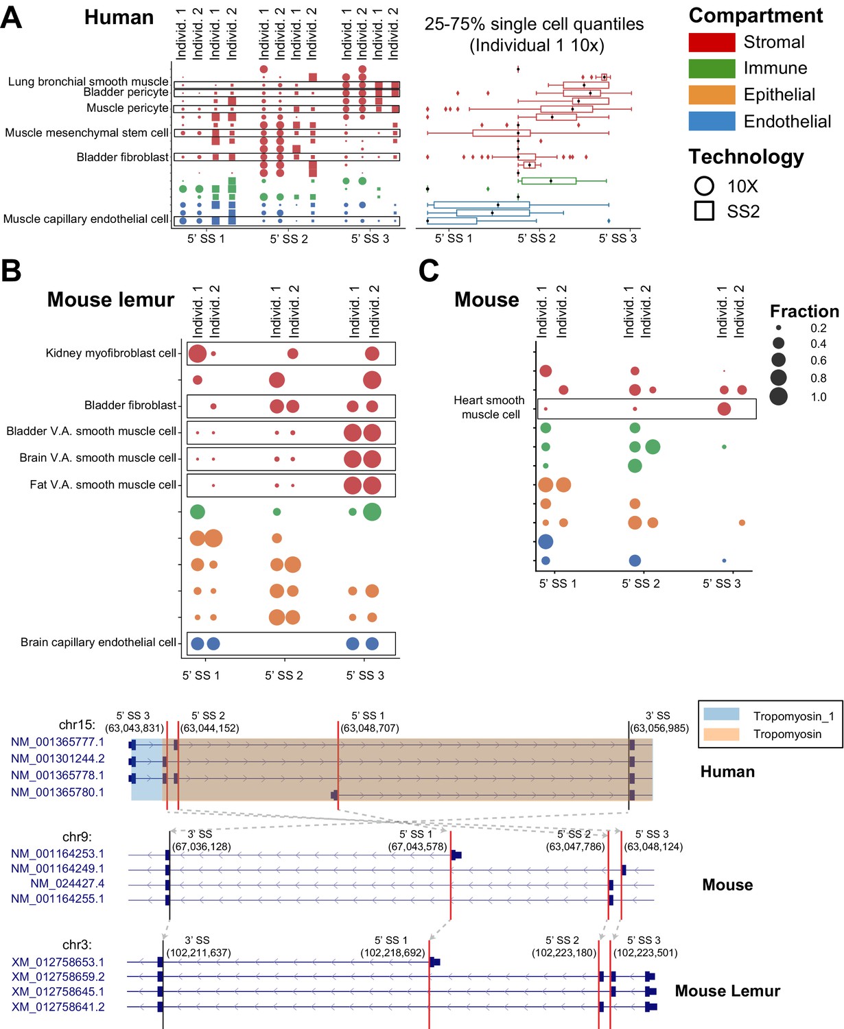 RNA Splicing Programs Define Tissue Compartments And Cell Types At ...