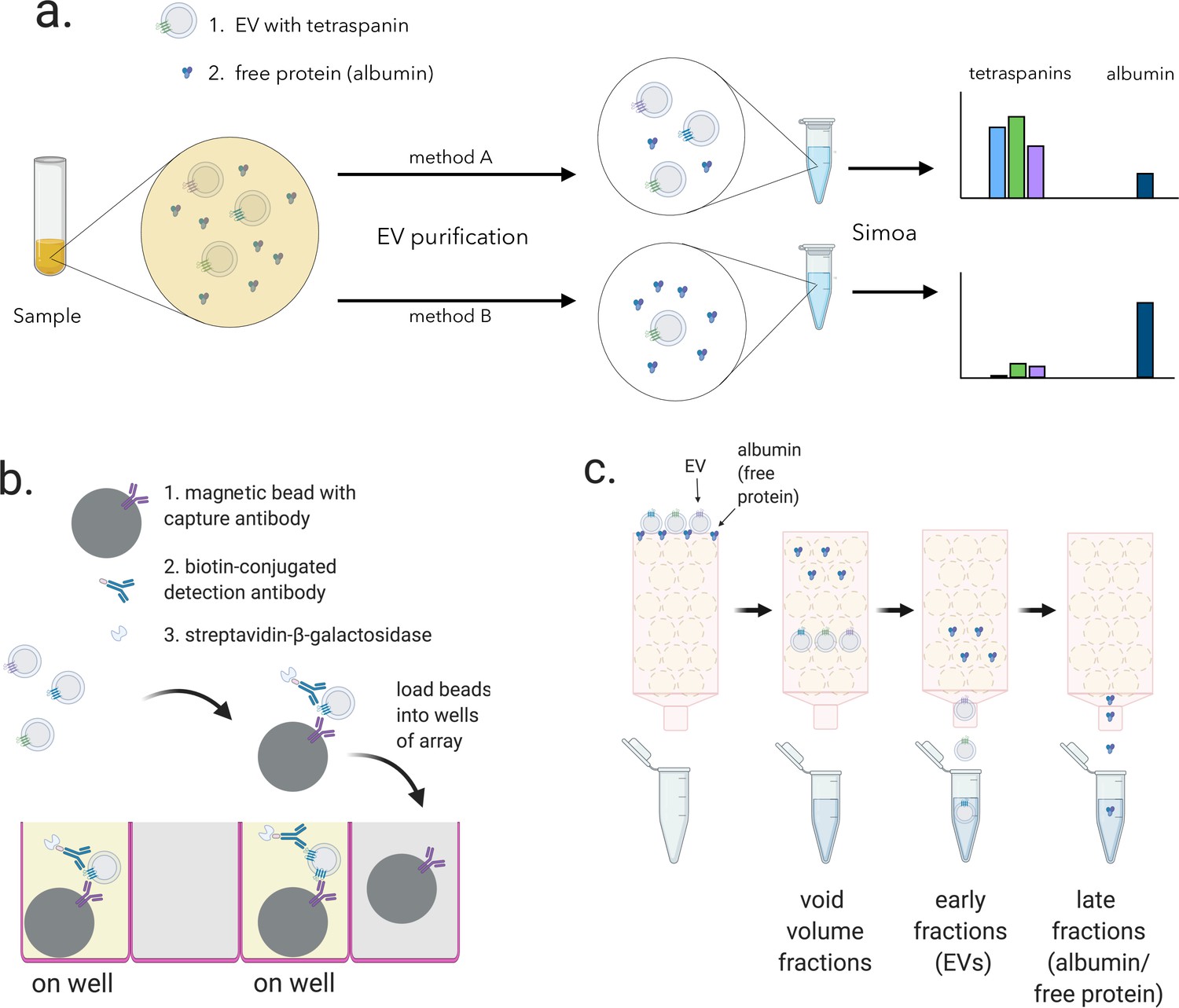 Comprehensive isolation of extracellular vesicles and