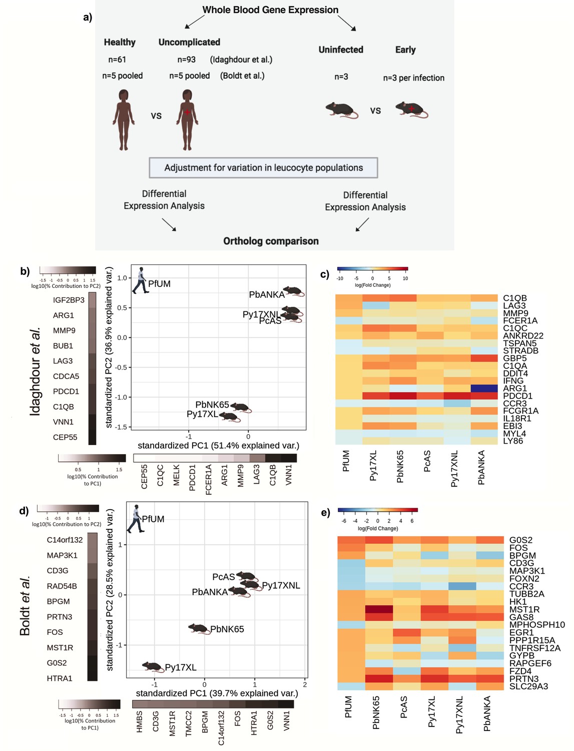 Comparative Transcriptomic Analysis Reveals Translationally Relevant ...