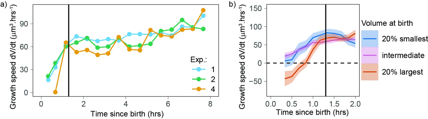 Volume growth in animal cells is cell cycle dependent and shows ...