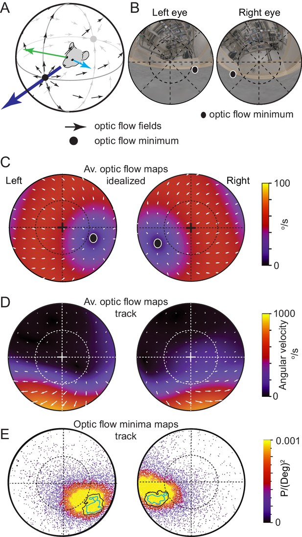Visual pursuit behavior in mice the with eLife retinal pursued region the maintains prey on least | flow optic