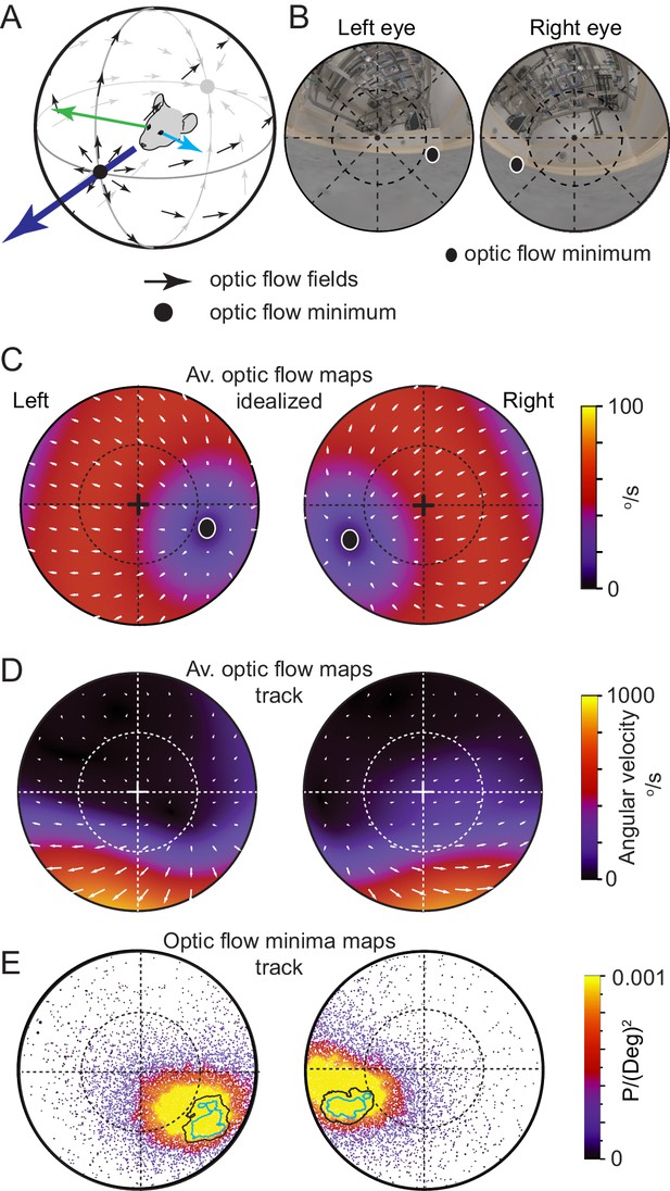 the Visual optic flow eLife the pursued on least pursuit maintains retinal in | region mice prey with behavior