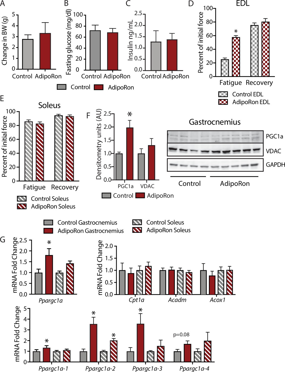 Adiponectin receptor agonist AdipoRon improves skeletal muscle 