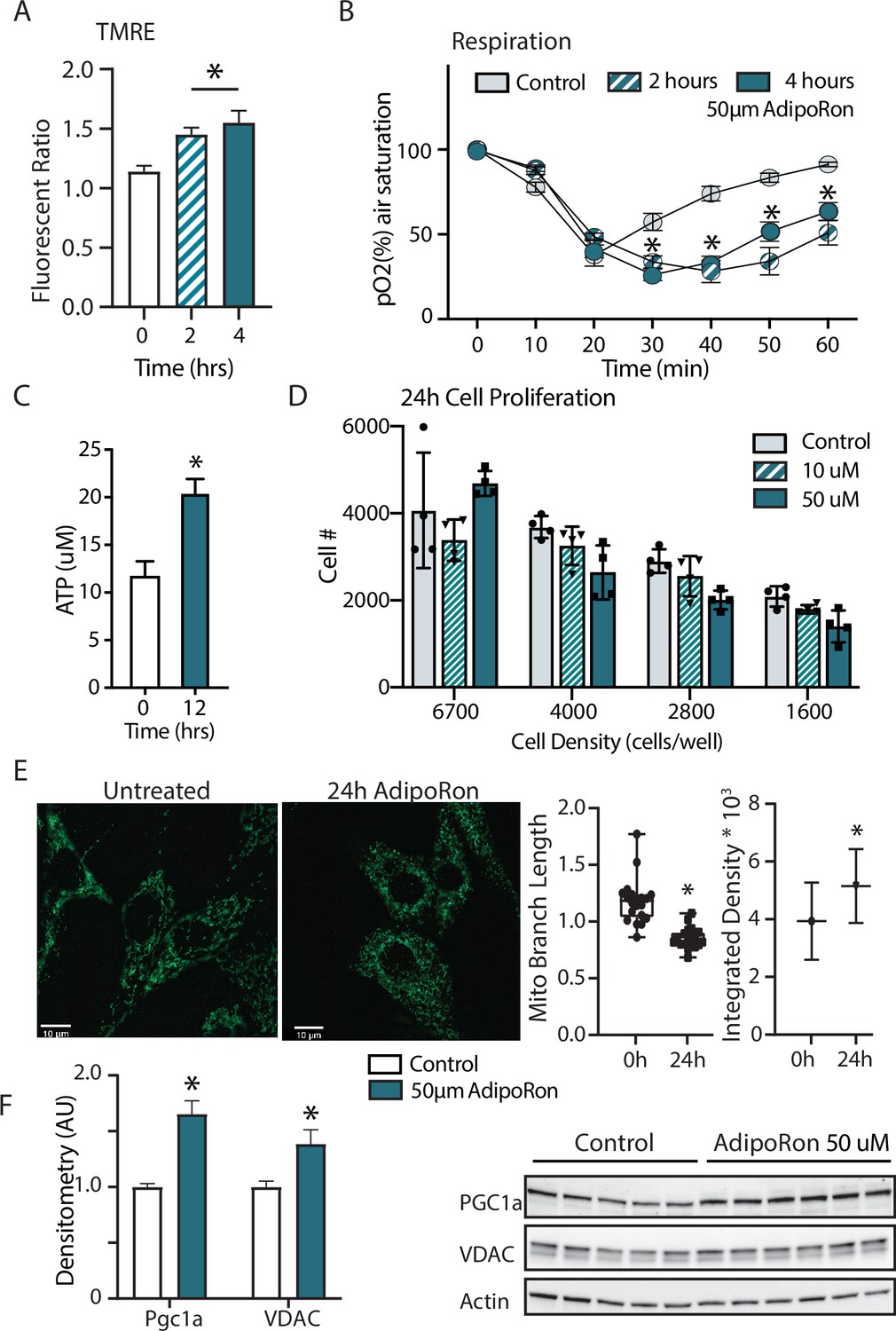 Adiponectin receptor agonist AdipoRon improves skeletal