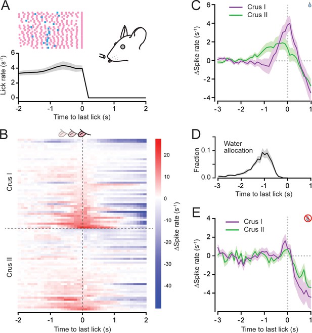 Cerebellum Encodes And Influences The Initiation, Performance, And 