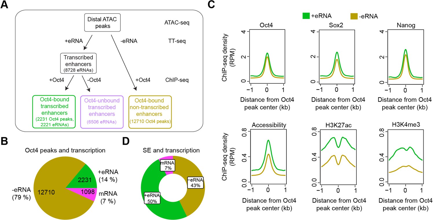 Oct4 differentially regulates chromatin opening and enhancer 