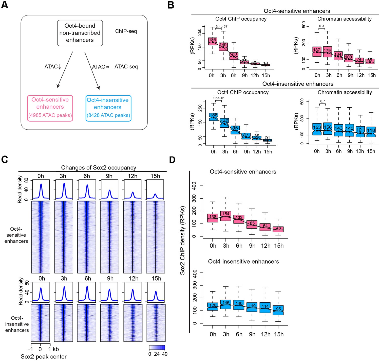 Oct4 differentially regulates chromatin opening and enhancer