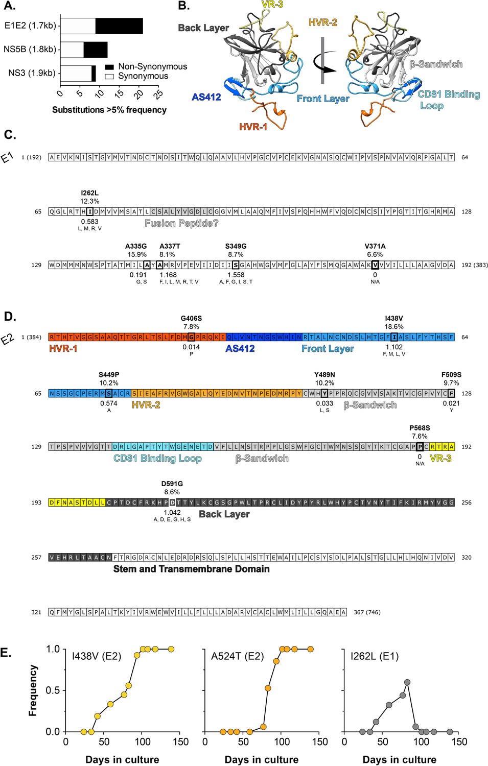 An entropic safety catch controls hepatitis C virus entry and 