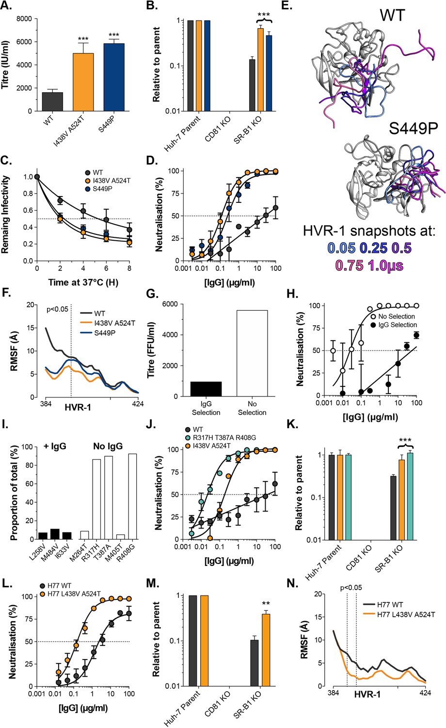 An entropic safety catch controls hepatitis C virus entry and 