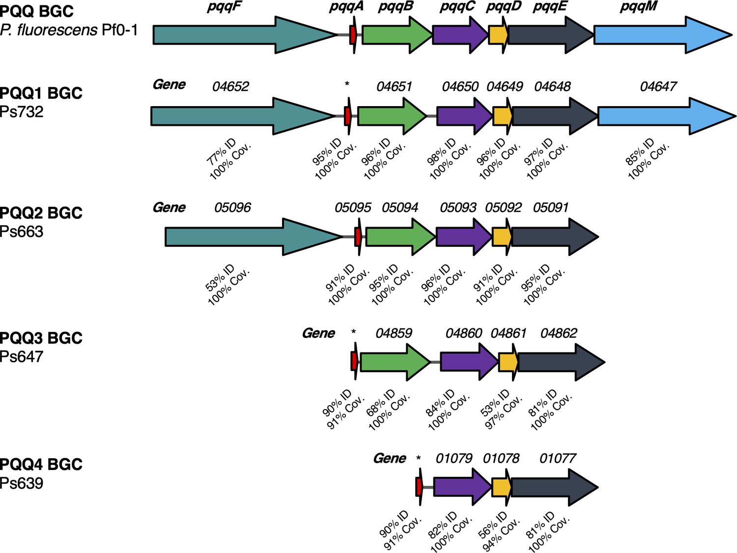 Pan Genome Analysis Identifies Intersecting Roles For Pseudomonas