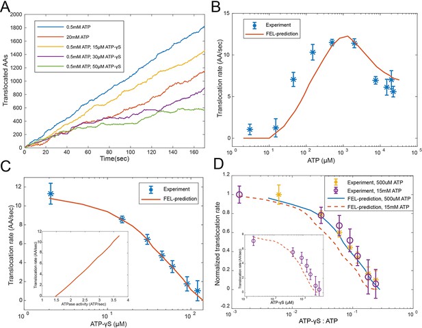 An empirical energy landscape reveals mechanism of proteasome in ...