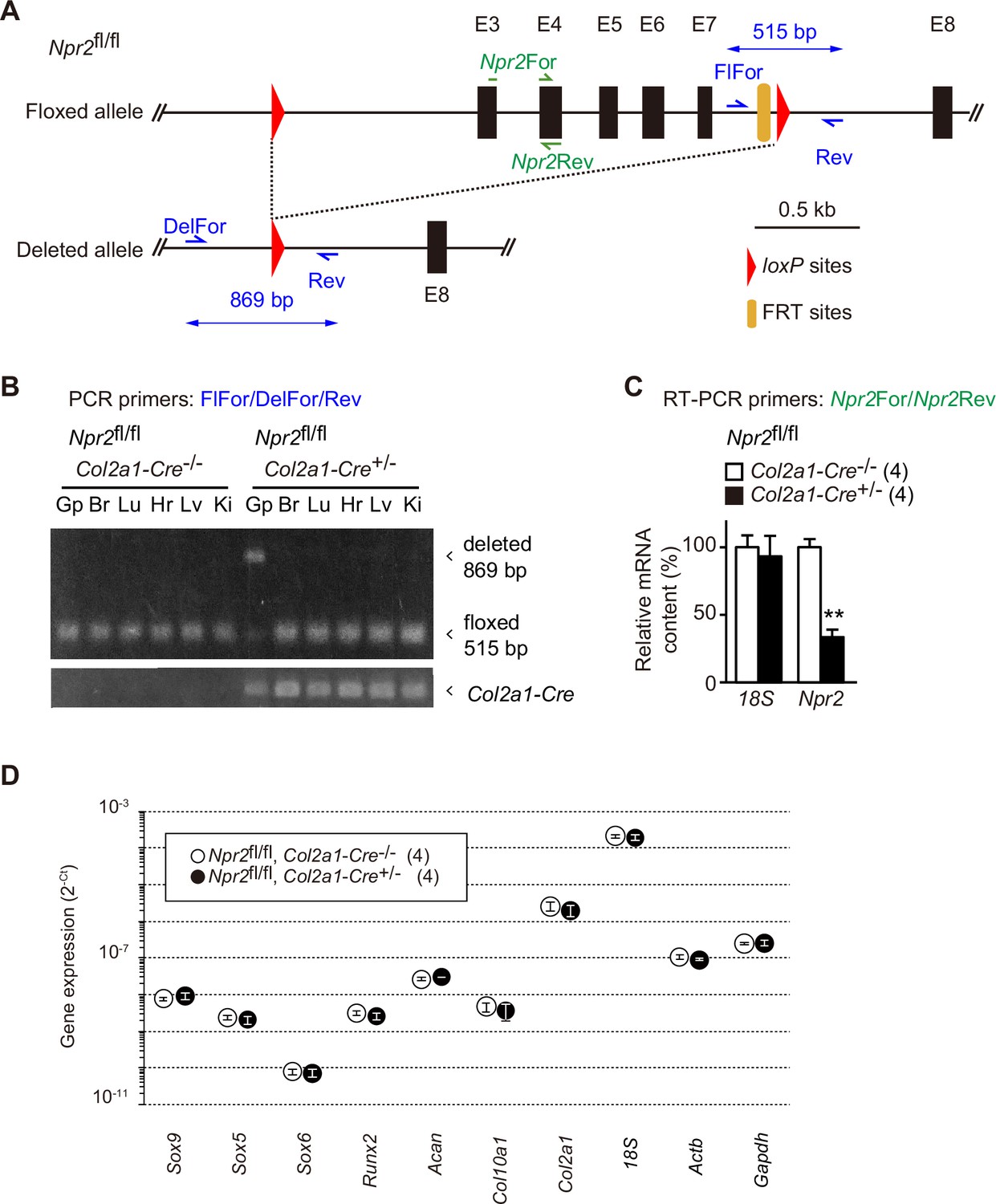 Figures And Data In C Type Natriuretic Peptide Facilitates Autonomic