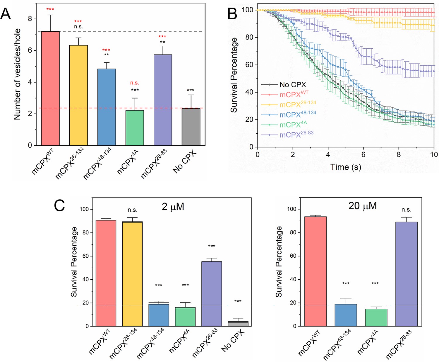 Molecular Determinants Of Complexin Clamping And Activation Function