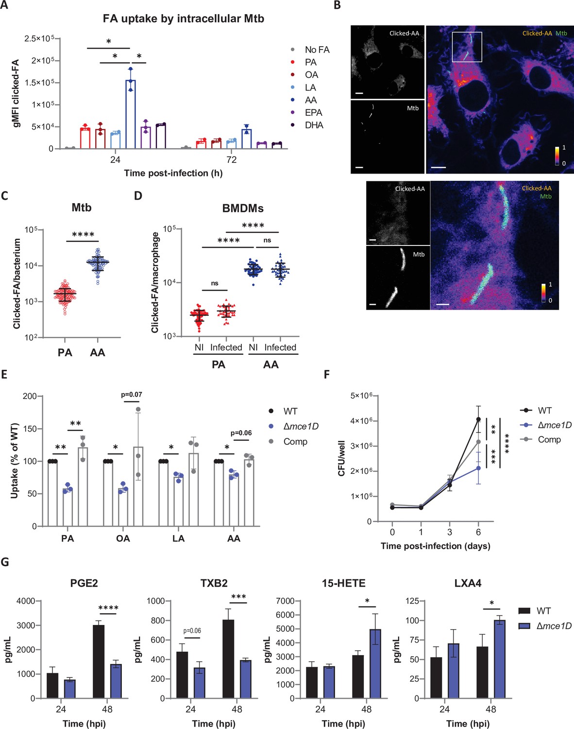 De novo synthesized polyunsaturated fatty acids operate as both host ...