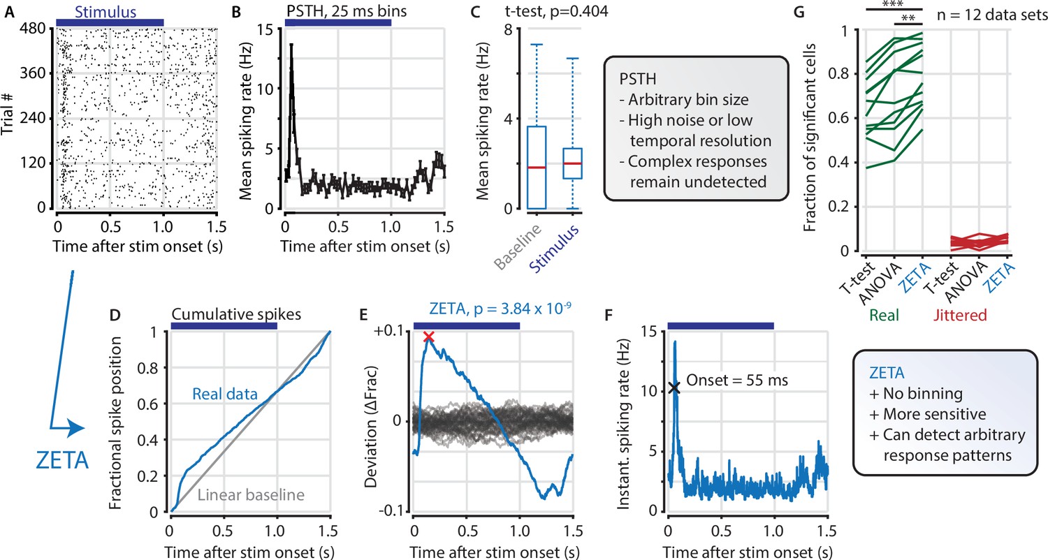 Neuron on hot sale test