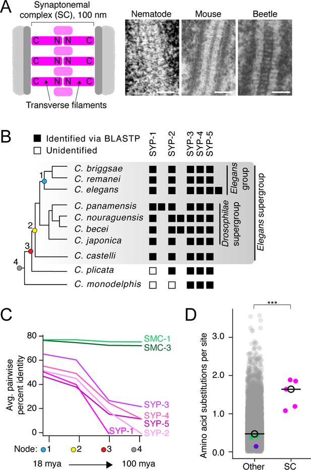 Unconventional conservation reveals structure-function relationships in