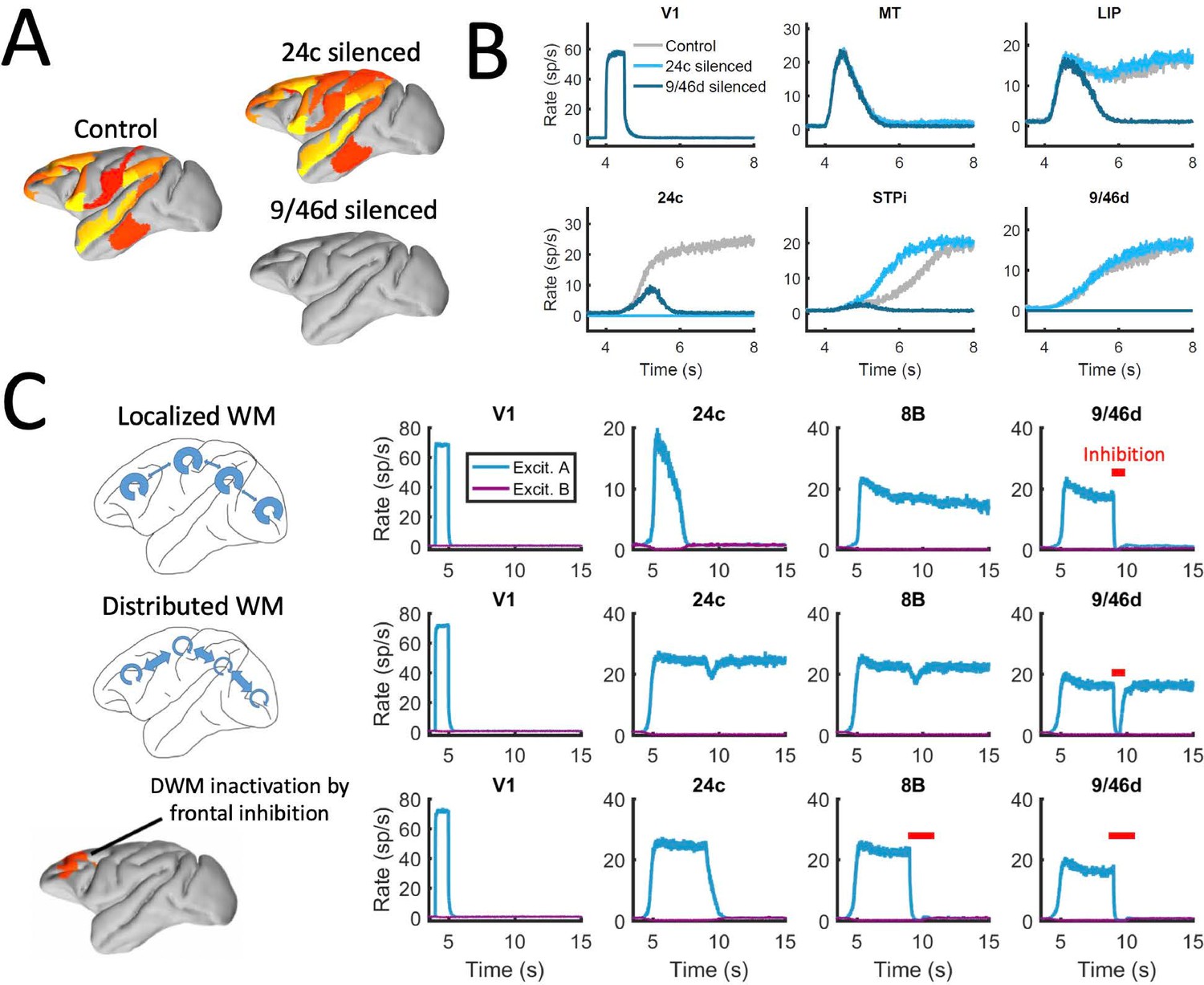 Mechanisms of distributed working memory in a large-scale