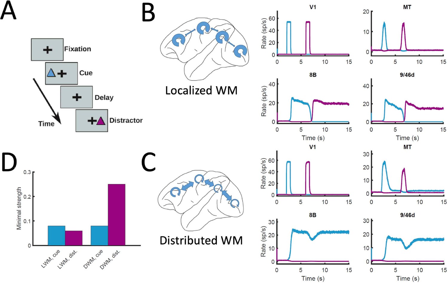 Mechanisms of distributed working memory in a large-scale