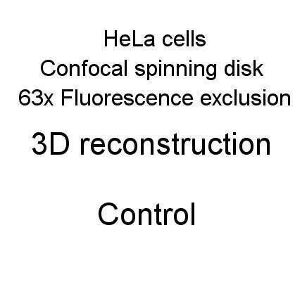 posterframe for video