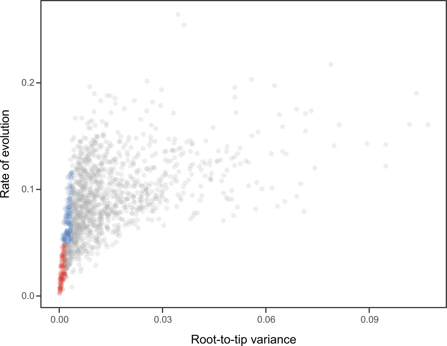 Phylogenomic Analyses Of Echinoid Diversification Prompt A Re