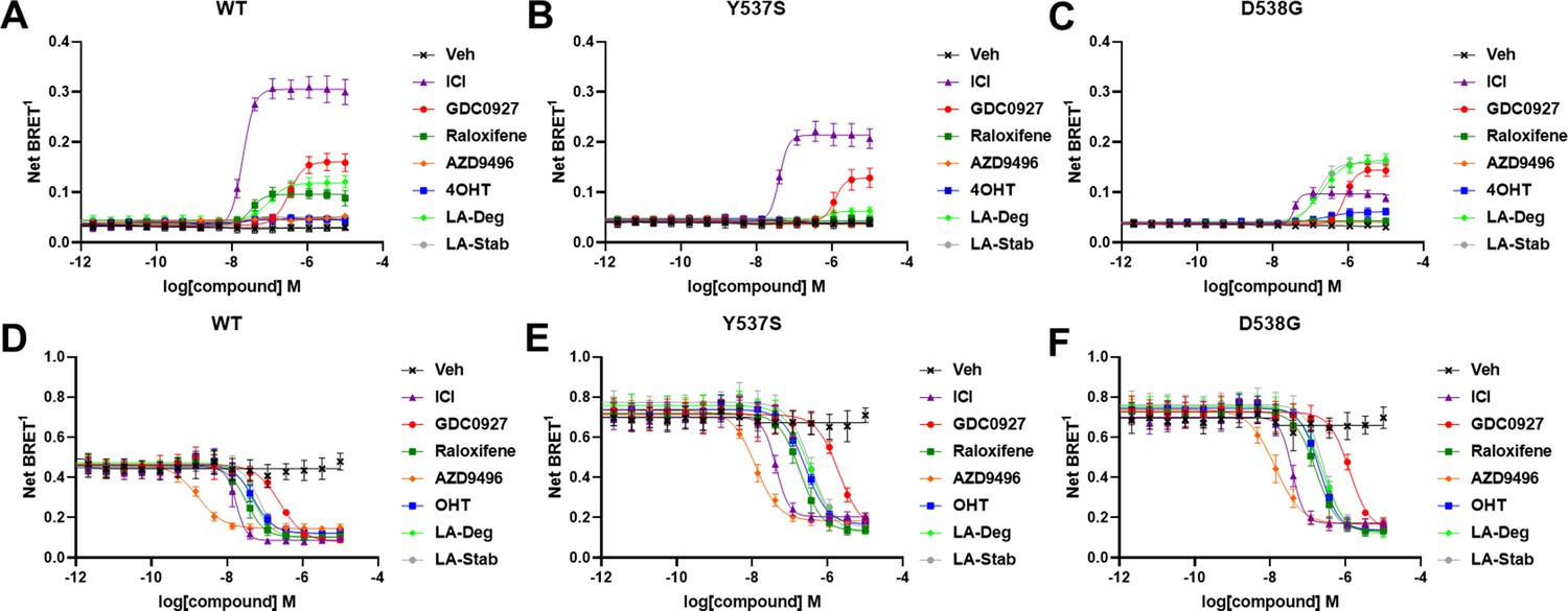 Stereospecific Lasofoxifene Derivatives Reveal The Interplay Between