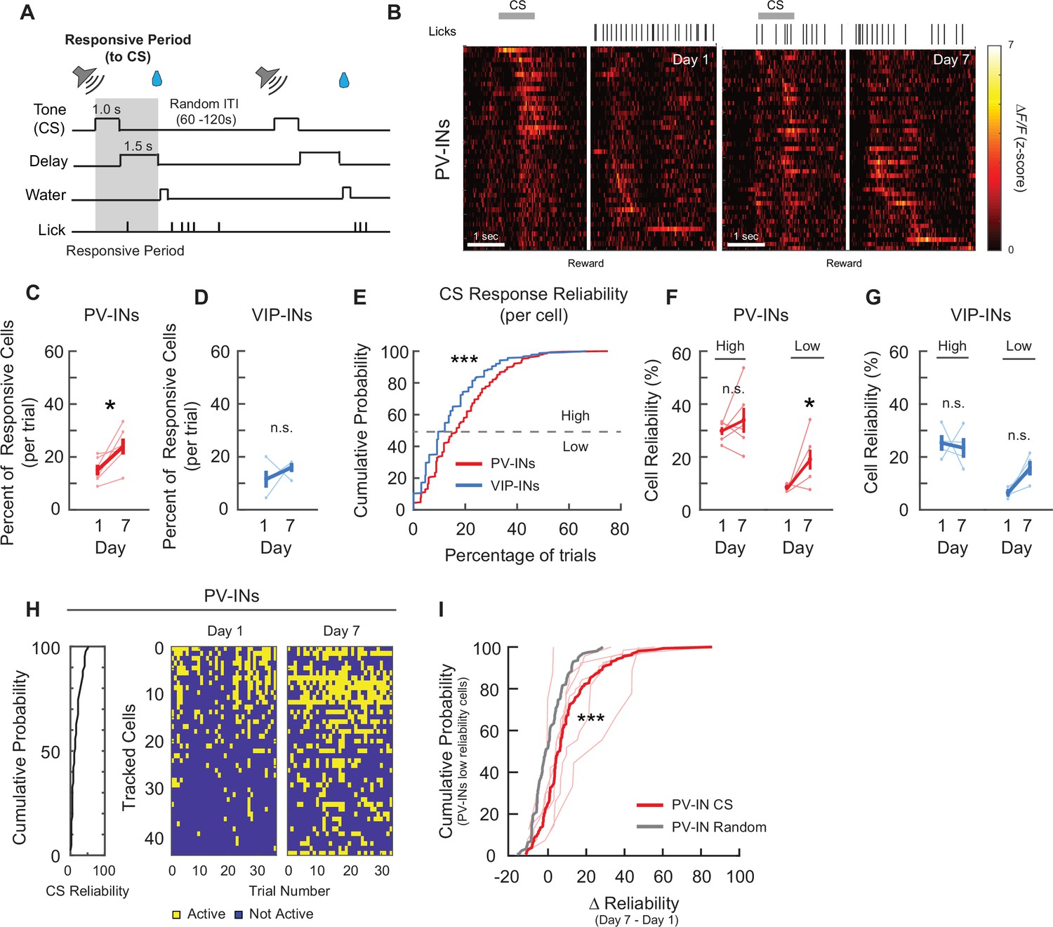 Cell-type-specific responses to associative learning in the primary ...