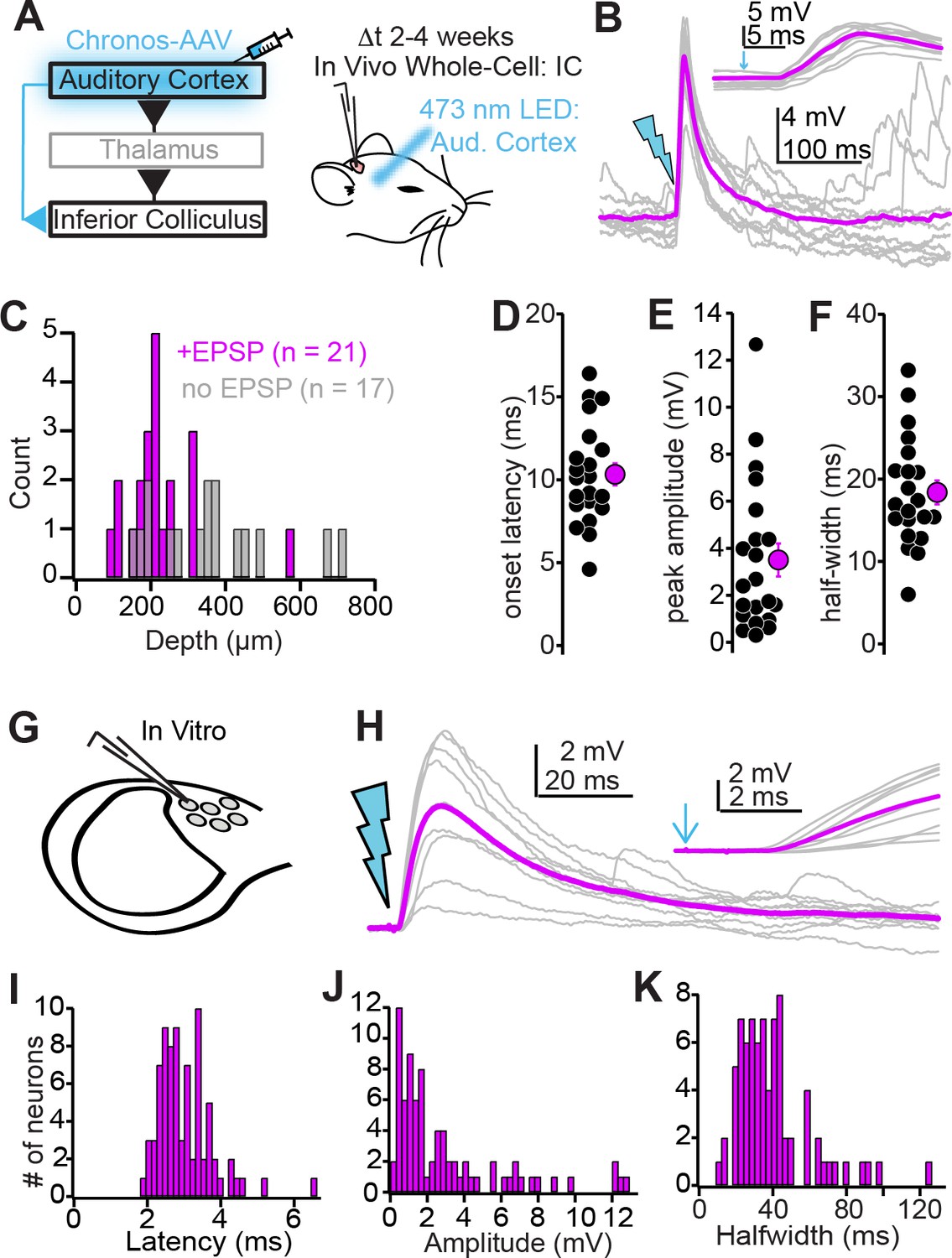 Cranial Participant Guide クラニアルテクニック Ethanol Elevates Excitability of Superior Cervical Ganglion