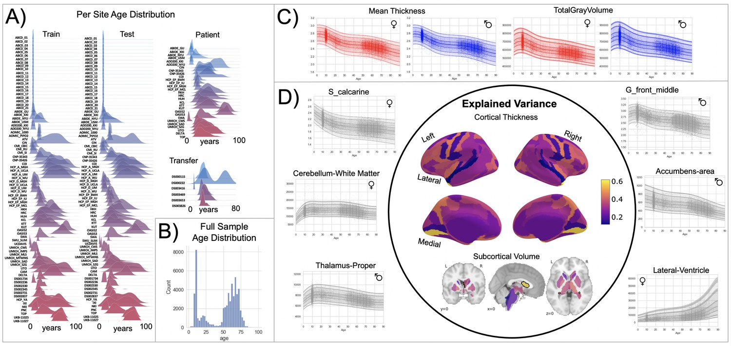 Charting brain growth and aging at high spatial precision