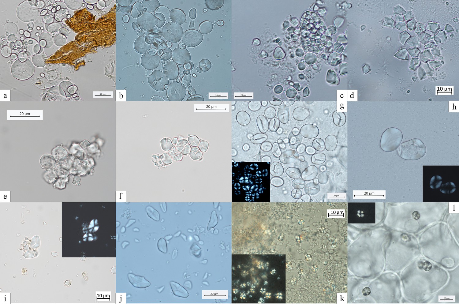 Figures And Data In Wild Cereal Grain Consumption Among Early Holocene 