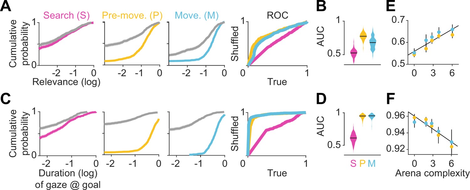 Eye movements reveal spatiotemporal dynamics of visually