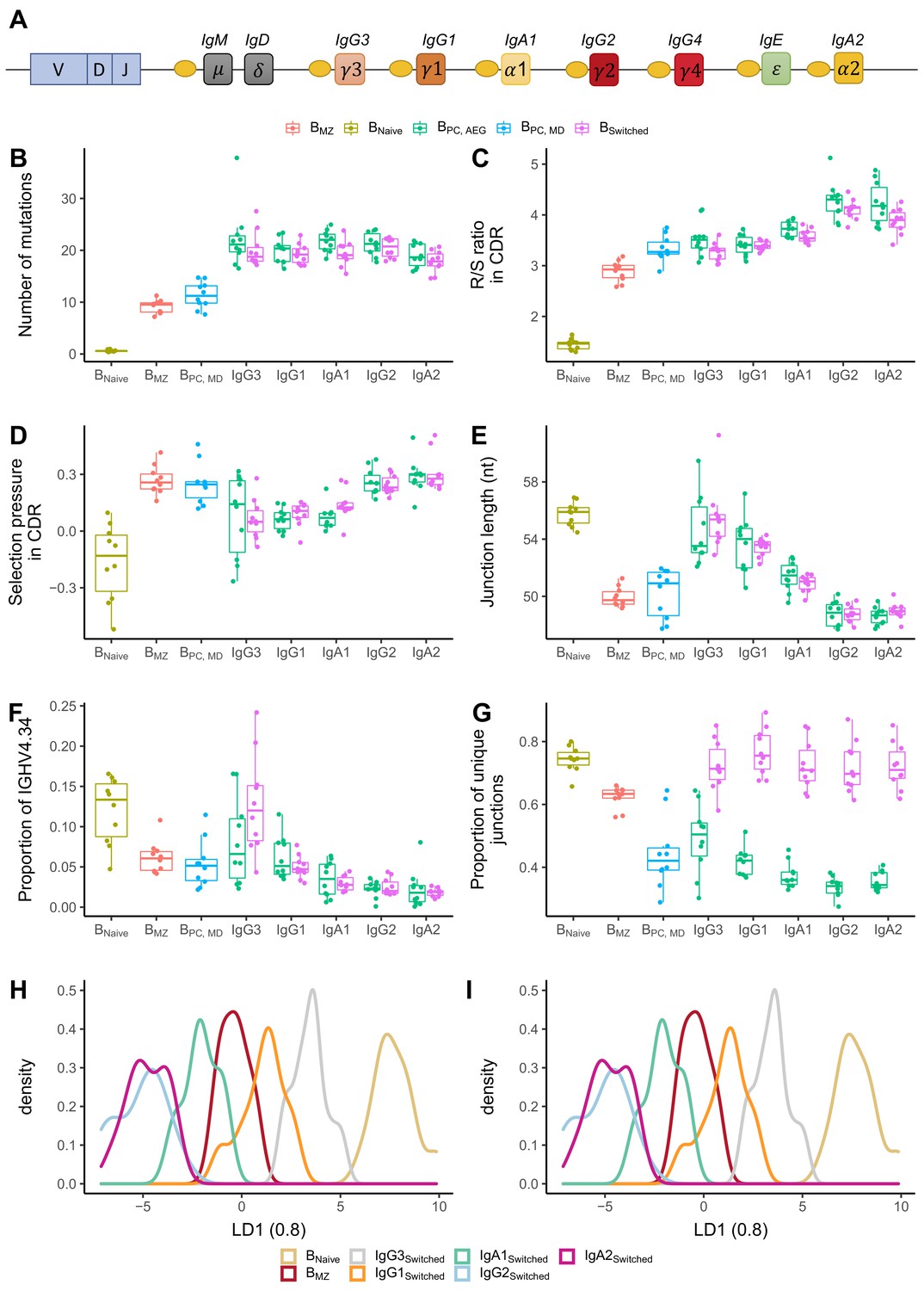 Different B Cell Subpopulations Show Distinct Patterns In Their IgH ...