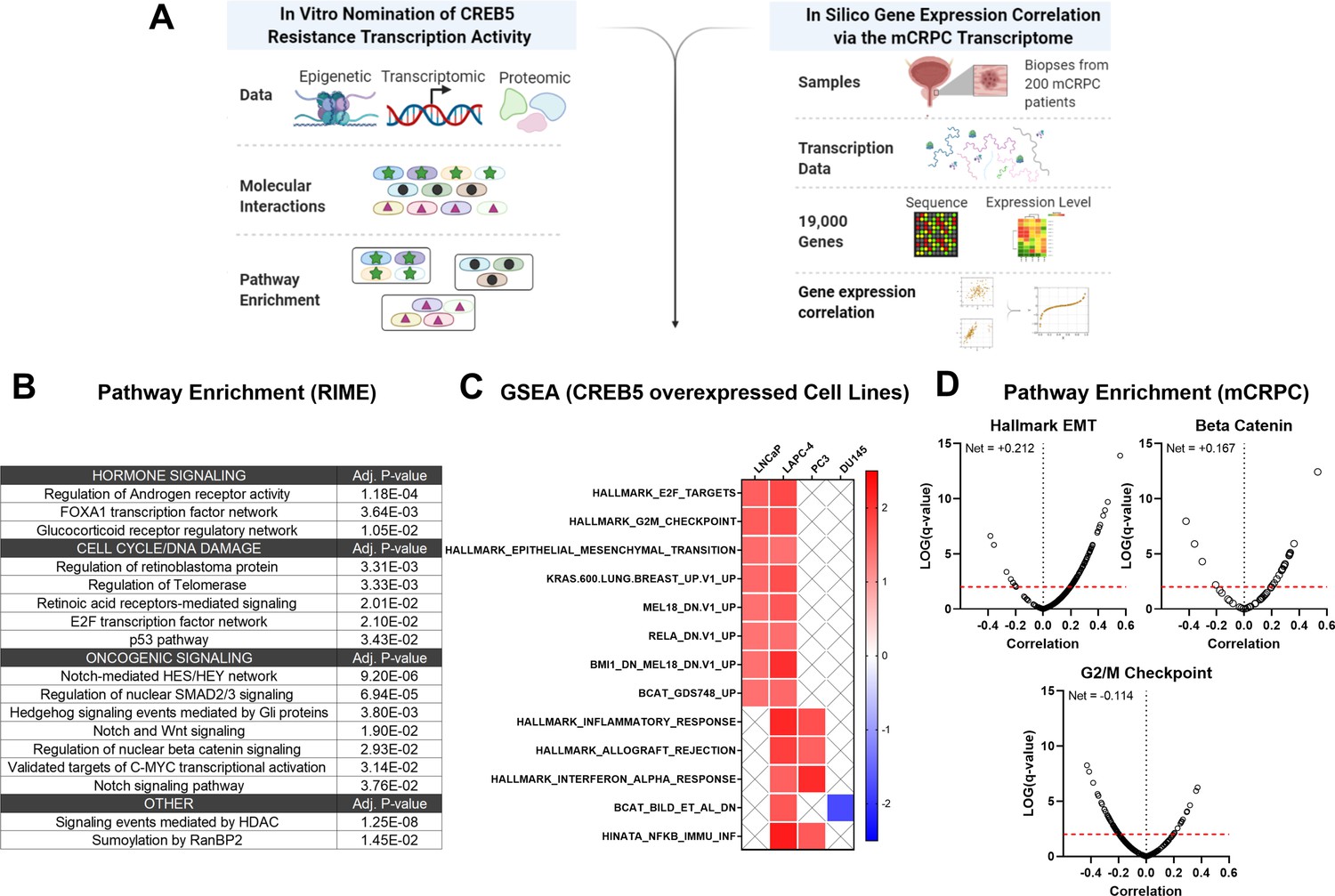 CREB5 reprograms FOXA1 nuclear interactions to promote resistance to ...