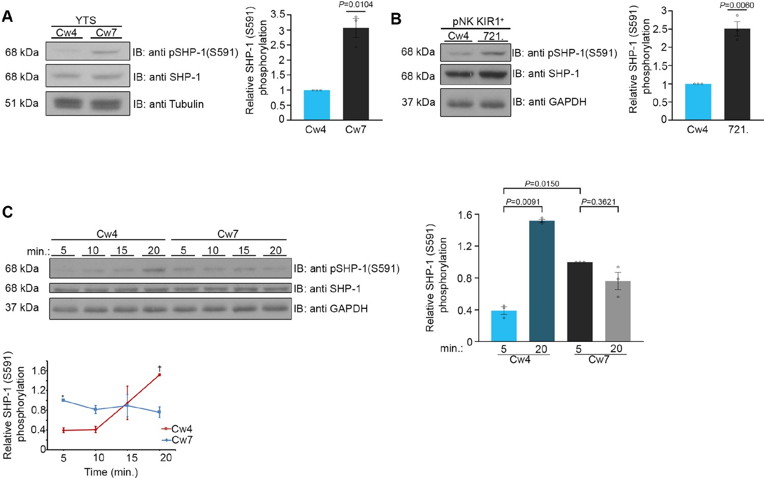 Inhibition of SHP-1 activity by PKC-θ regulates NK cell activation