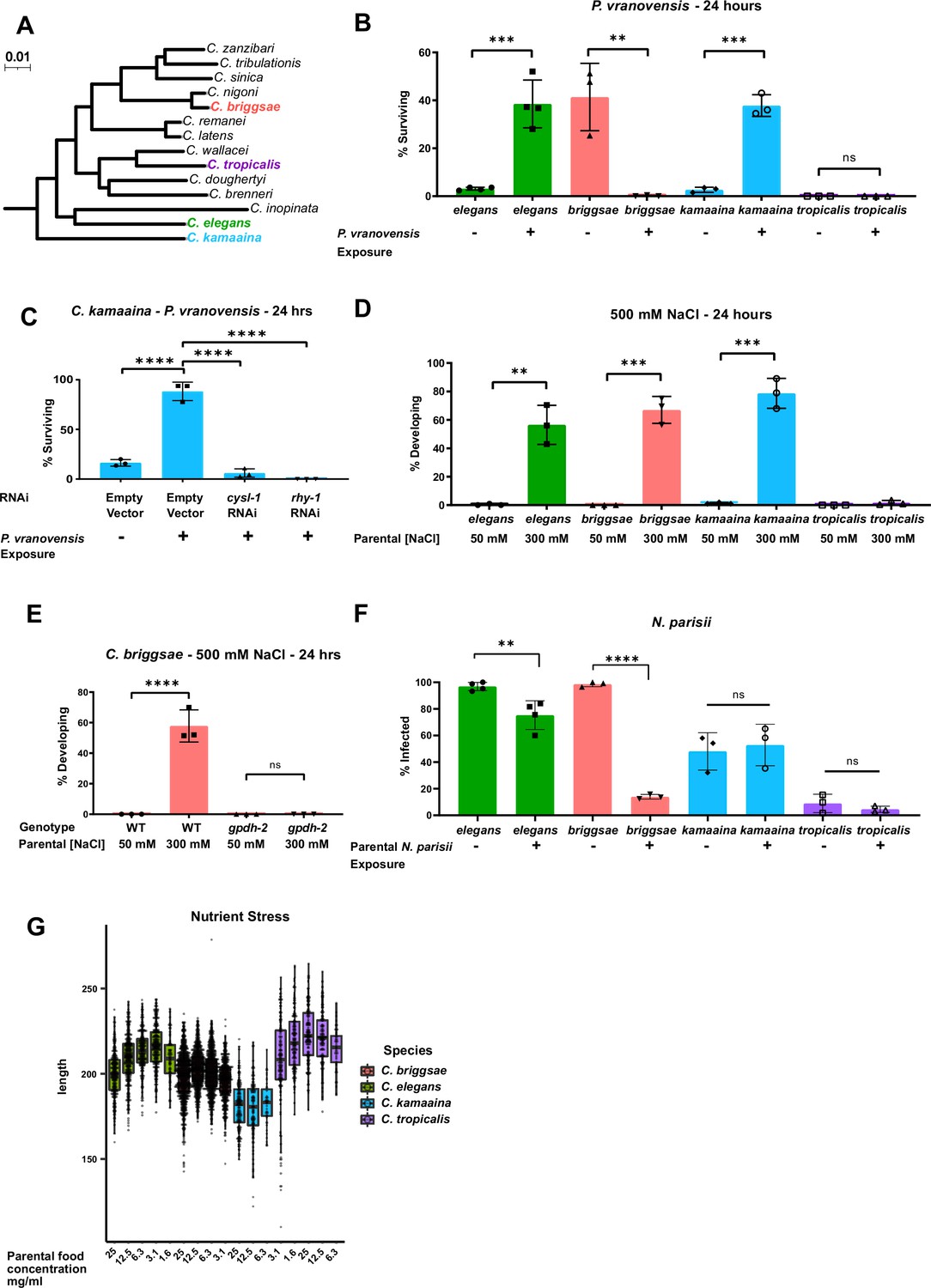 Intergenerational adaptations to stress are evolutionarily