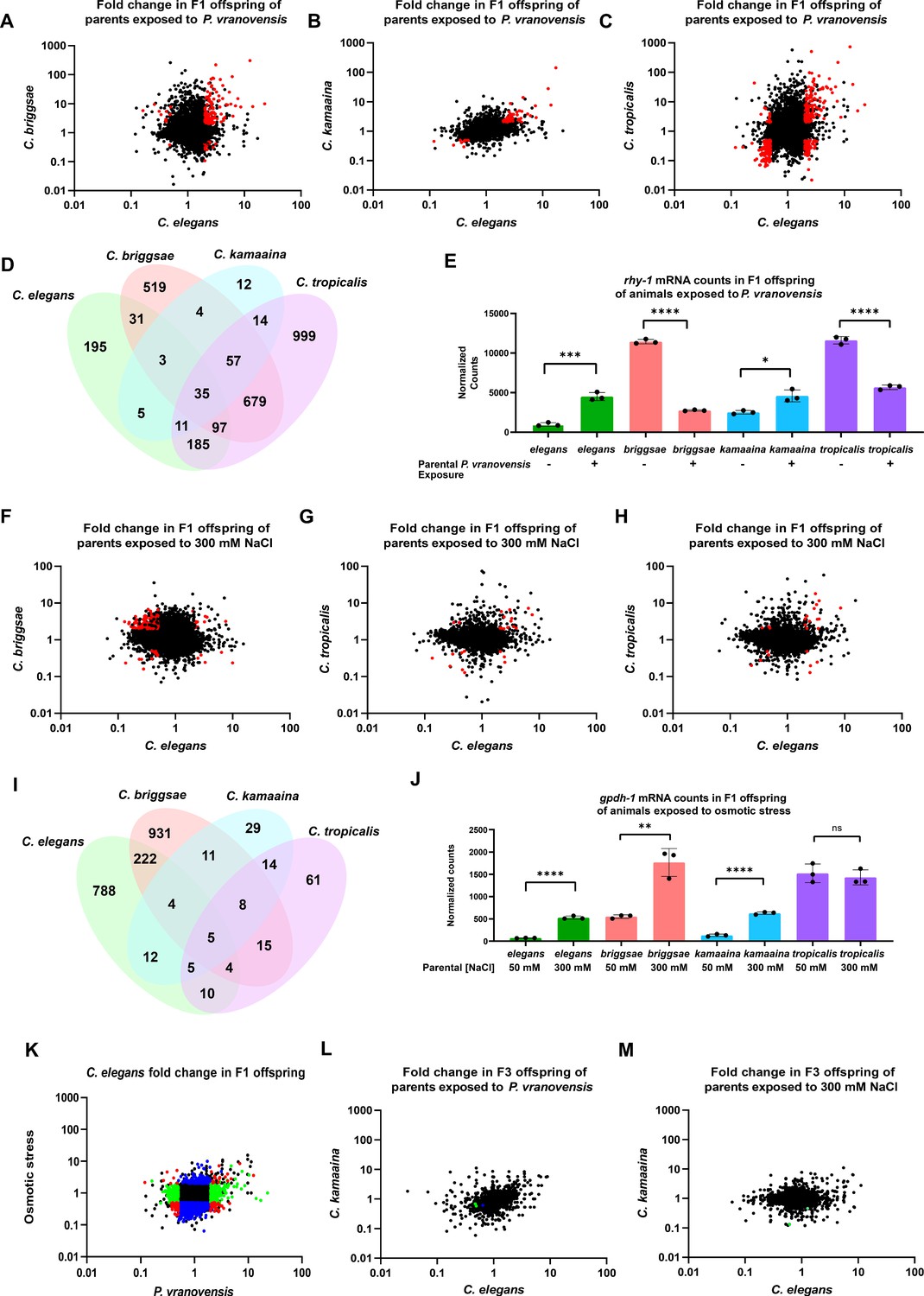 Intergenerational adaptations to stress are evolutionarily