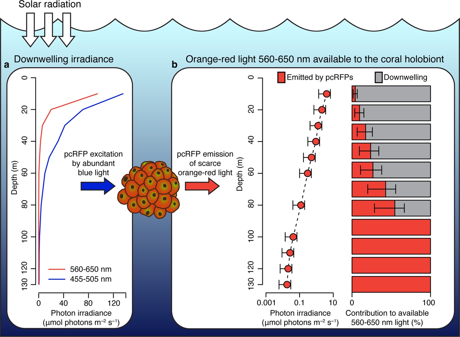 Frontiers  The Effects of Shade and Light on Corals in the Context of Coral  Bleaching and Shading Technologies