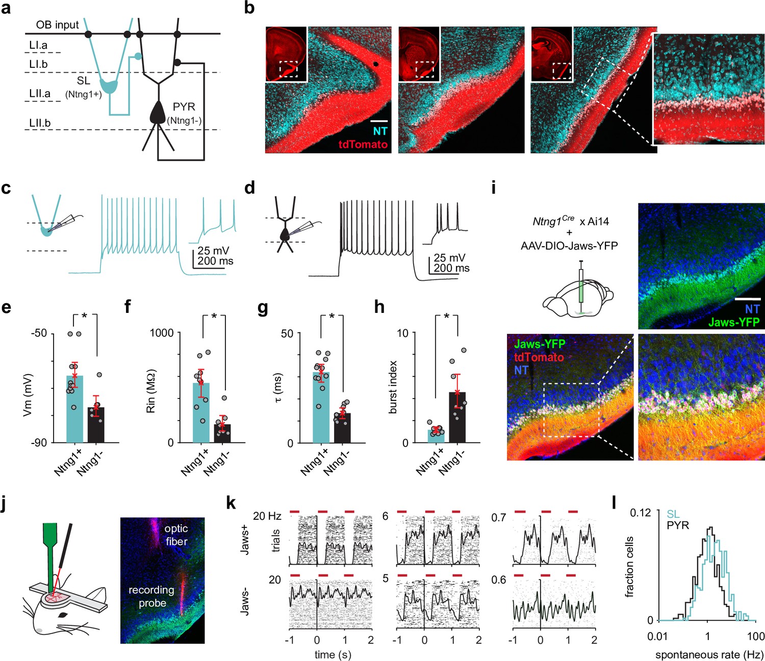Figures and data in Parallel processing by distinct classes