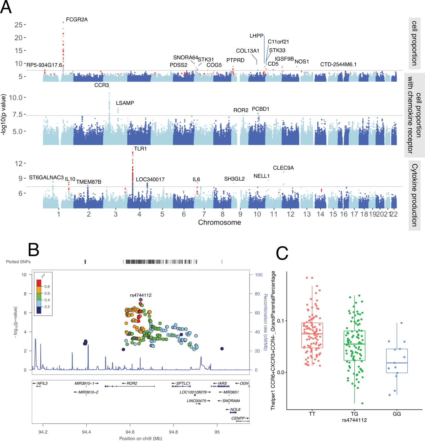 A genome-wide functional genomics approach uncovers genetic ...