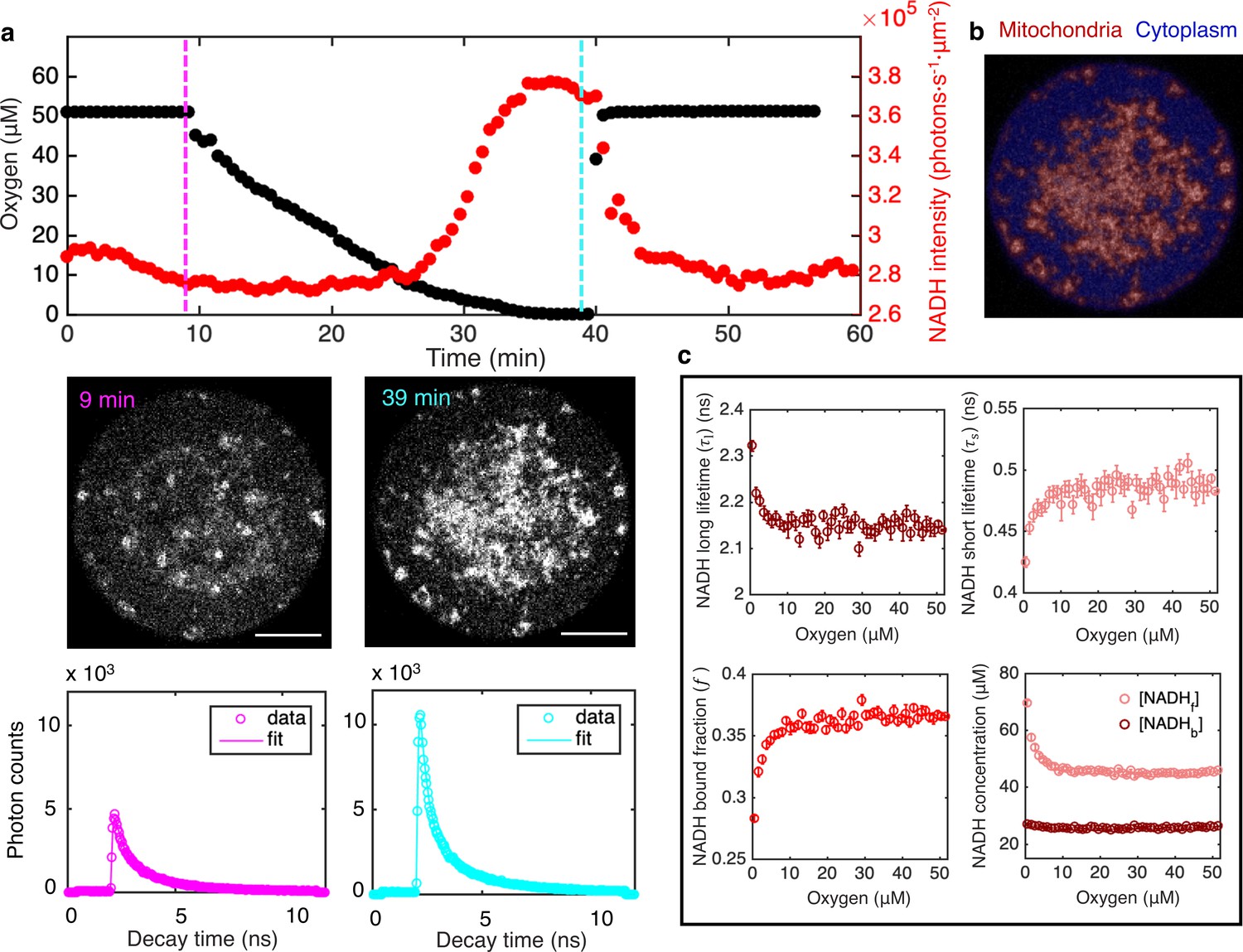 Figures And Data In A Coarse Grained Nadh Redox Model Enables Inference