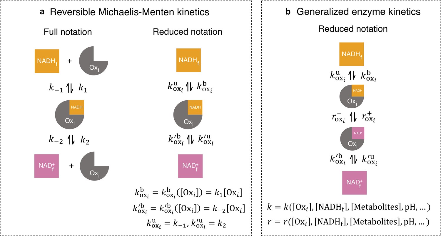 Figures And Data In A Coarse Grained Nadh Redox Model Enables Inference