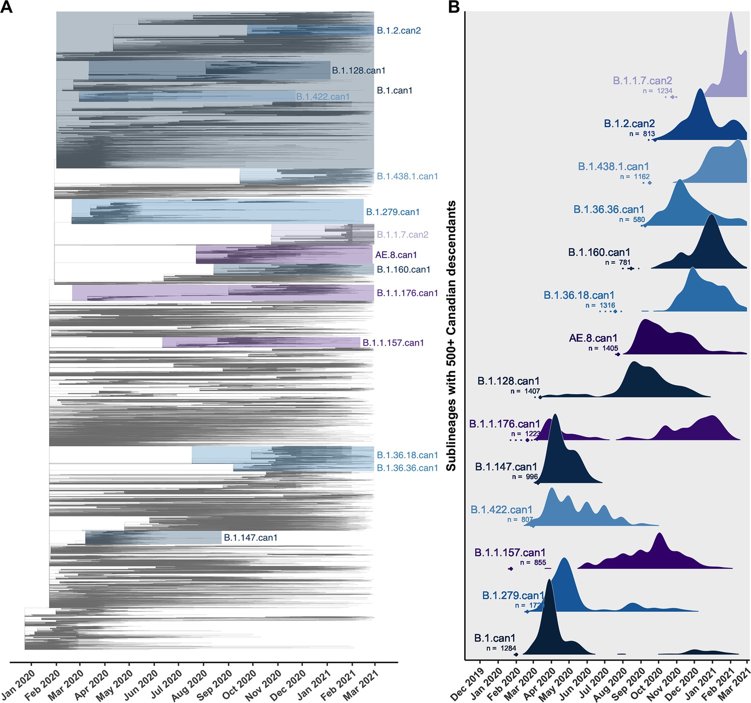 Maximum likelihood pandemic-scale phylogenetics