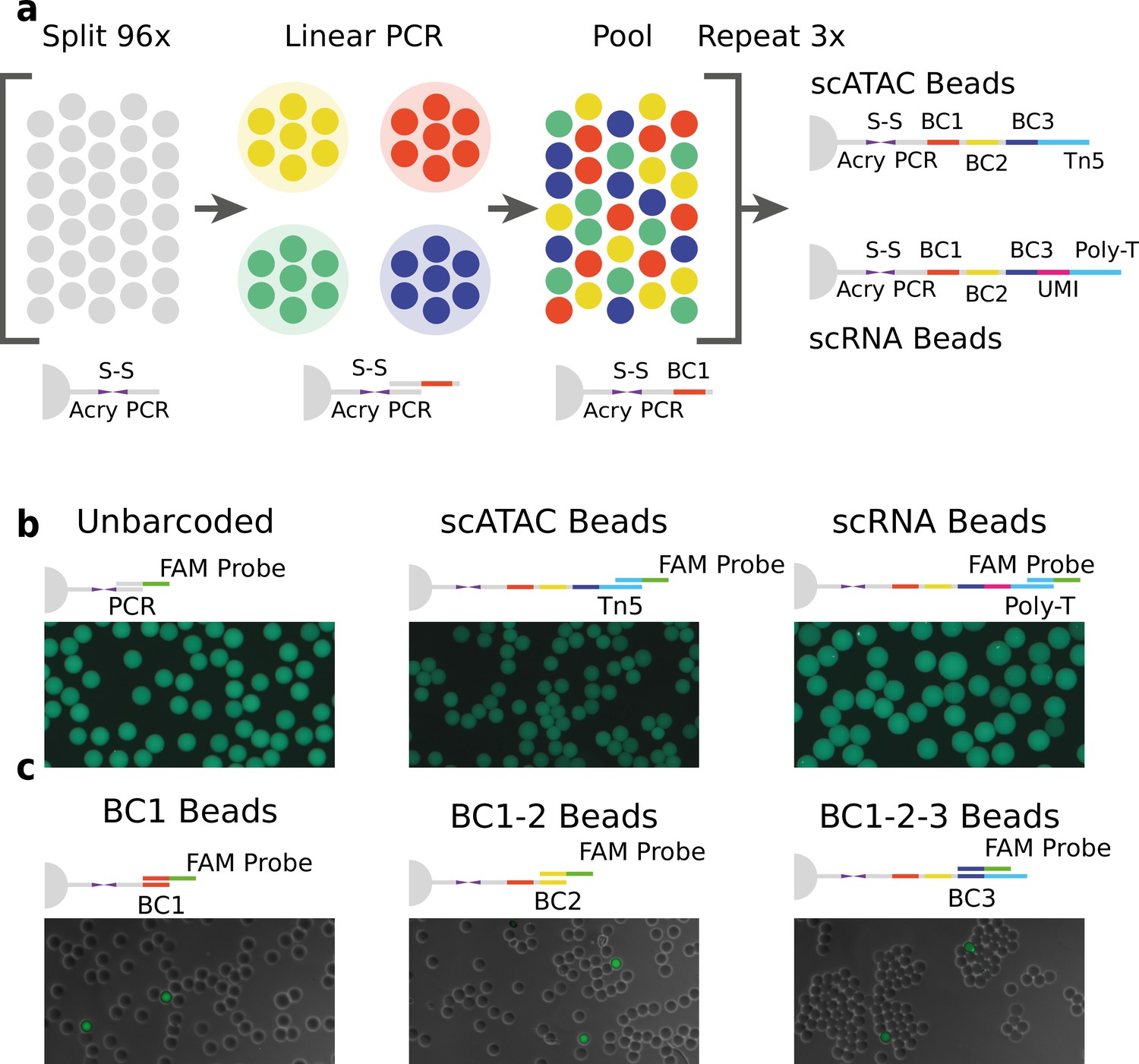 Figures And Data In Hydrop Enables Droplet-based Single-cell ATAC-seq ...