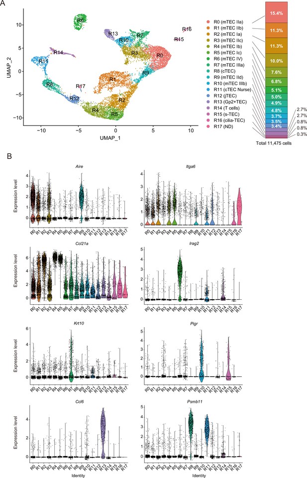 Integrative Analysis Of ScRNA-seq And ScATAC-seq Revealed Transit ...